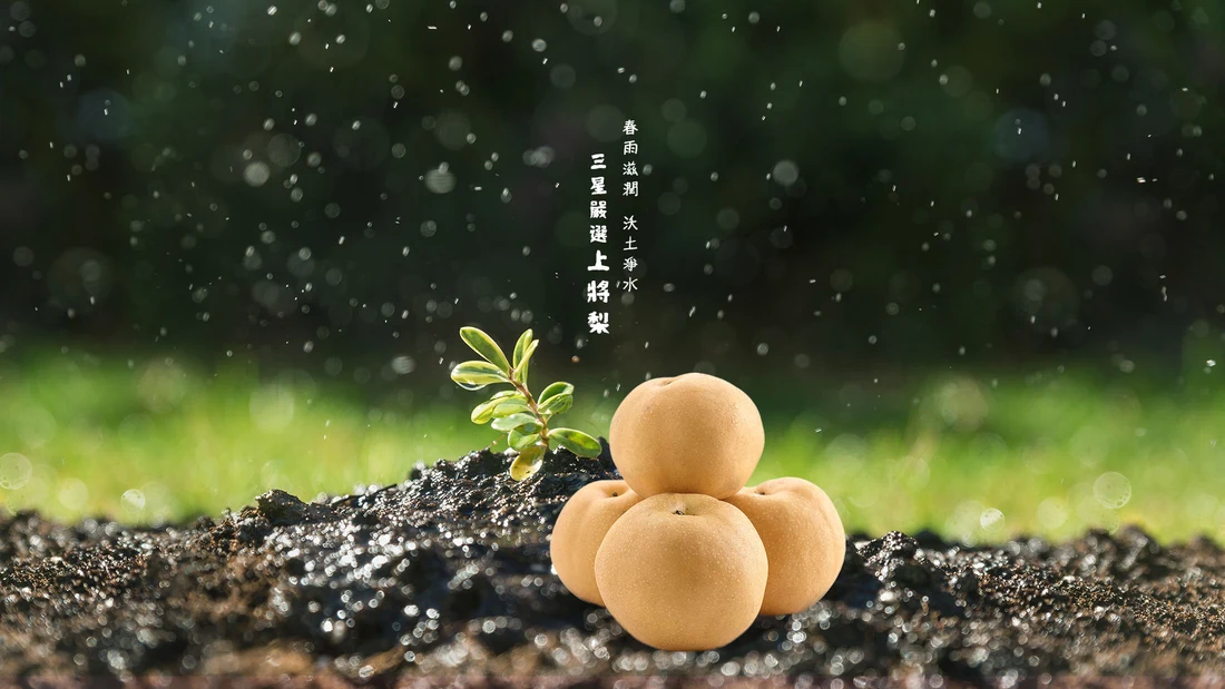 日新豐尚匠梨果園｜店家官網圖片