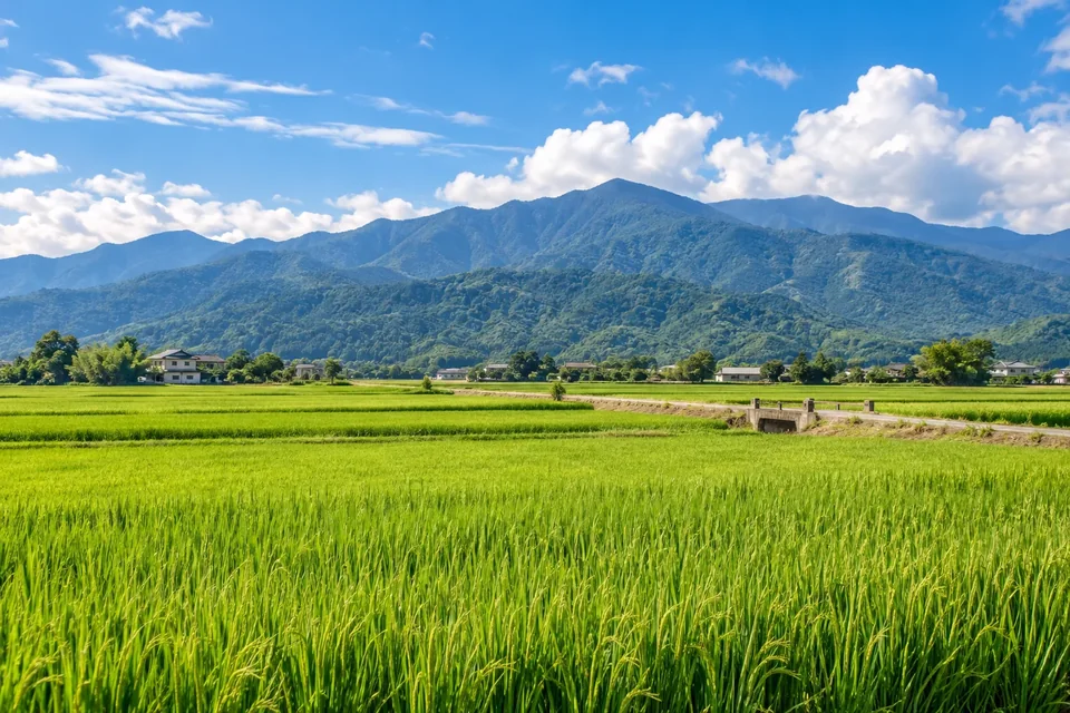 田野與山景間的宜蘭民宿意象